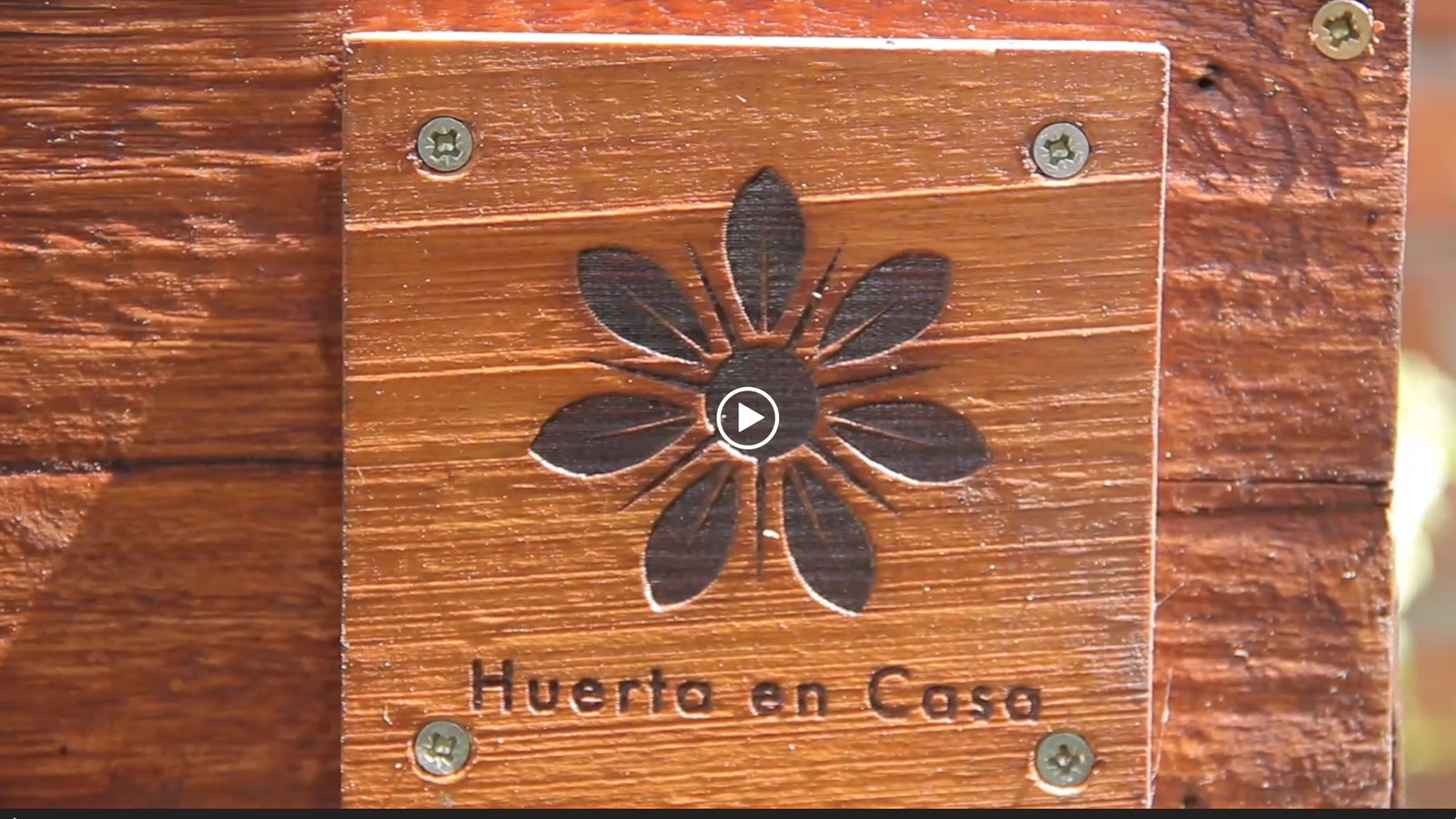 Huerta en Casa